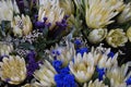 Colorful bouquet of King Proteas Ã¢â¬â the national flower of South Africa